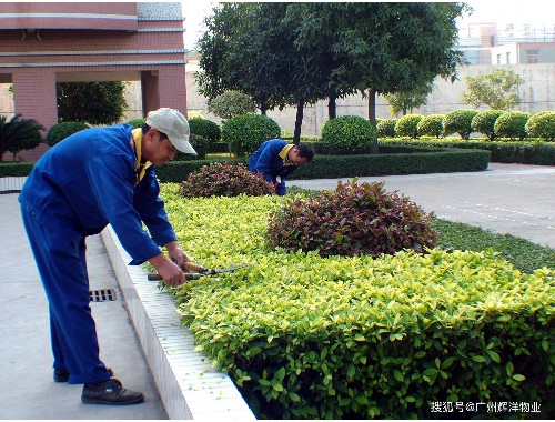 台州市政绿化工程是什么工作