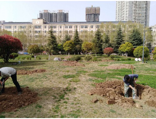 室外市政园林绿化工程