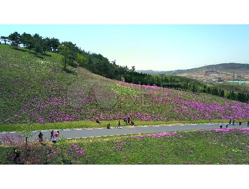 延安荒山造林绿化工程招标