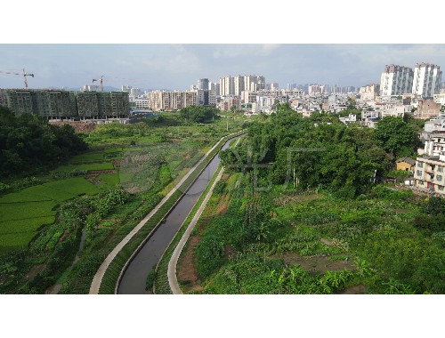 谢城市绿化改变环境